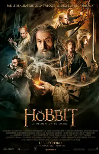 affiche La désolation de Smaug